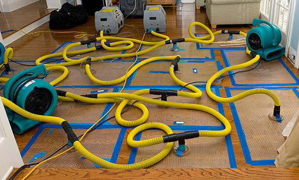 Professional Water Damage Repair technician working in Nashville, IL